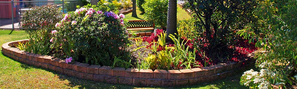 Gardens and pool area at Lancaster Court Motel Annerley Brisbane
